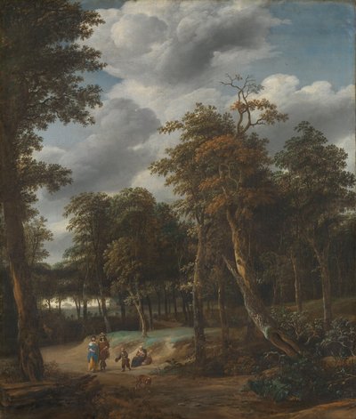 Strada forestale da Jan Looten